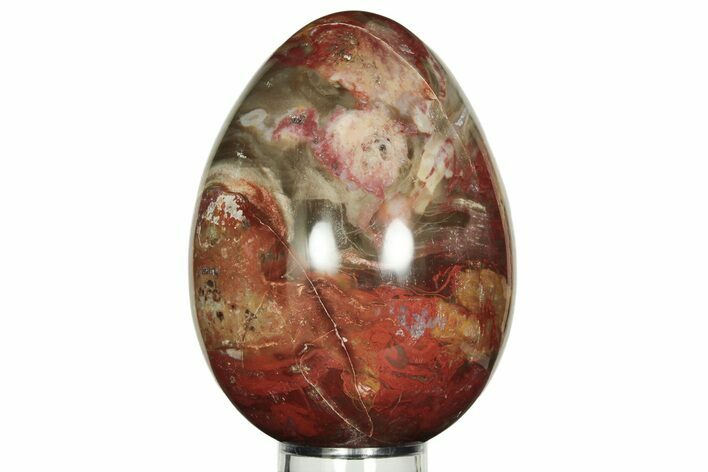 Colorful, Polished Petrified Wood Egg - Madagascar #211132